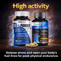 High Activity — Stamina & blood flow support